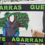 312226540_5417786858347827_2812479802013288906_n