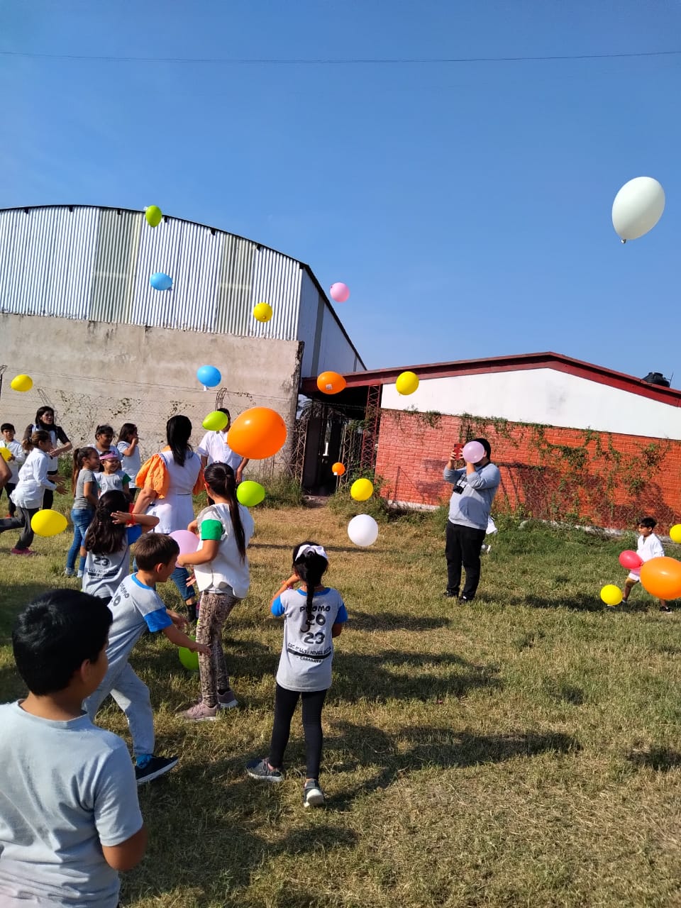 WhatsApp Image 2024-06-14 at 17.46.18